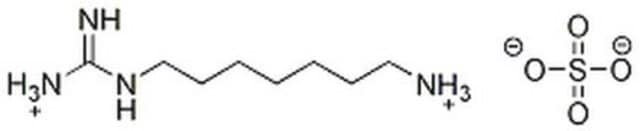 Deoxyhypusine Synthase Inhibitor, GC7 The Deoxyhypusine Synthase Inhibitor, GC7, also referenced under CAS 150333-69-0, controls the biological activity of Deoxyhypusine Synthase.