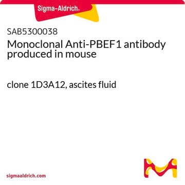 Monoclonal Anti-PBEF1 antibody produced in mouse clone 1D3A12, ascites fluid