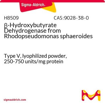 &#946;-Hydroxybutyrate Dehydrogenase from Rhodopseudomonas sphaeroides Type V, lyophilized powder, 250-750&#160;units/mg protein