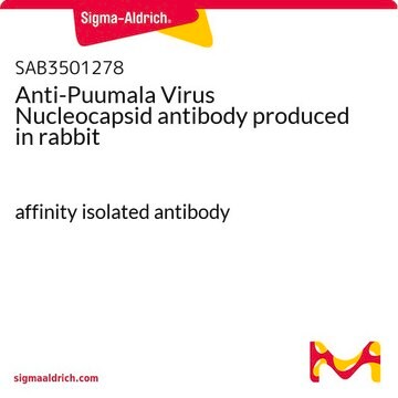 Anti-Puumala Virus Nucleocapsid antibody produced in rabbit affinity isolated antibody