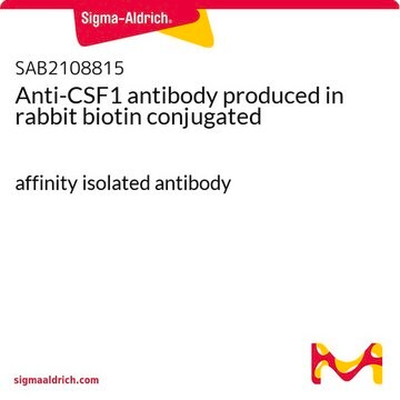 Anti-CSF1 antibody produced in rabbit biotin conjugated affinity isolated antibody