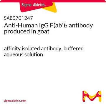 Anti-Human IgG F(ab&#8242;)2 antibody produced in goat affinity isolated antibody, buffered aqueous solution