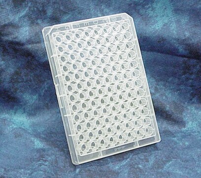 Greiner 96 well plates, polypropylene 2.4 mL, conical bottom clear polypropylene wells, sterile