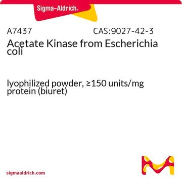 Acetate Kinase from Escherichia coli lyophilized powder, &#8805;150&#160;units/mg protein (biuret)