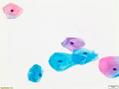 Papanicolaou Stain OG 6