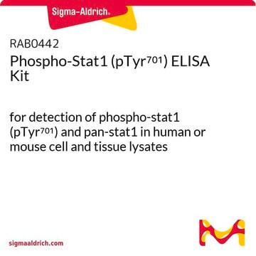 Phospho-Stat1 (pTyr701) ELISA Kit for detection of phospho-stat1 (pTyr701) and pan-stat1 in human or mouse cell and tissue lysates