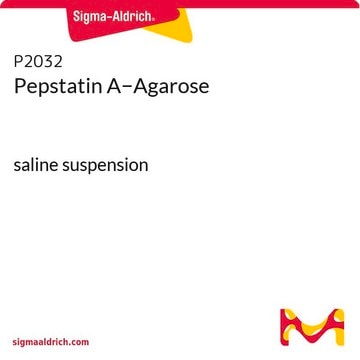 Pepstatin A&#8722;Agarose saline suspension