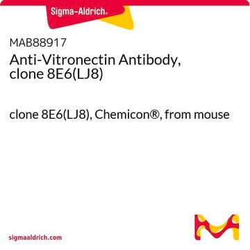 Anti-Vitronectin Antibody, clone 8E6(LJ8) clone 8E6(LJ8), Chemicon&#174;, from mouse