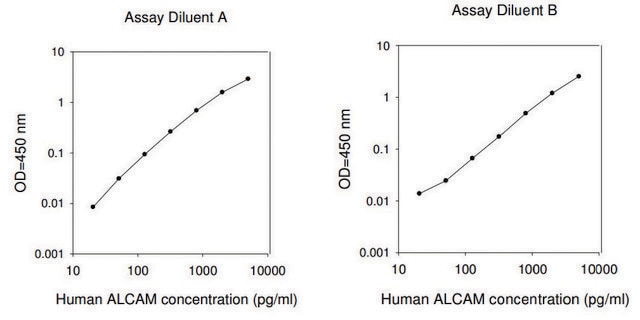 Human ALCAM ELISA Kit for serum, plasma, cell culture supernatant and urine