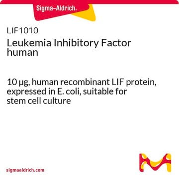 Leukemia Inhibitory Factor human 10 &#181;g, human recombinant LIF protein, expressed in E. coli, suitable for stem cell culture