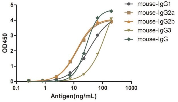 Goat Anti-Mouse IgG(Fc&#947;) Alpaca Heavy chain only Antibody recombinant Alpaca(VHH) Nano antibody