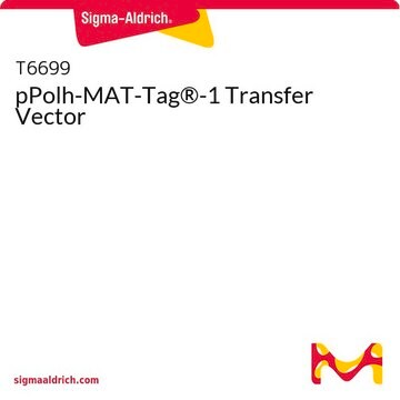 pPolh-MAT-Tag&#174;-1 Transfer Vector