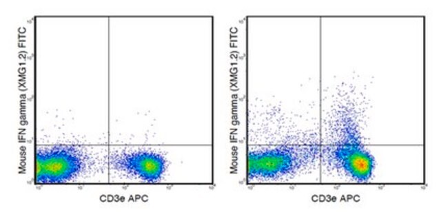 Anti-mouse IFN gamma, FITC, clone XMG1.2 Antibody clone XMG1.2, from rat, FITC conjugate