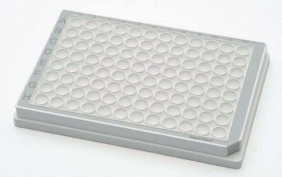 Eppendorf&#174; Microplate 96/U-PP, 96 wells gray polypropylene, round bottom white wells, PCR clean, pkg of 80&#160;ea