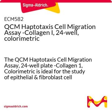 QCM Haptotaxis Cell Migration Assay -Collagen I, 24-well, colorimetric The QCM Haptotaxis Cell Migration Assay, 24-well plate -Collagen 1, Colorimetric is ideal for the study of epithelial &amp; fibroblast cell haptotaxis.