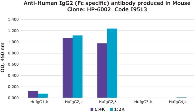 Monoclonal Anti-Human IgG2 (Fc specific) antibody produced in mouse clone HP-6002, ascites fluid