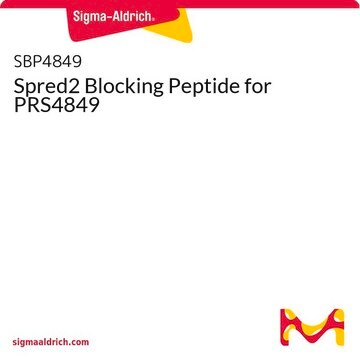 Spred2 Blocking Peptide for PRS4849