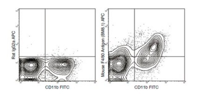 Anti-F4/80 (mouse), APC, clone BM8.1 Antibody clone BM8.1, from rat, Allophycocyanin conjugate