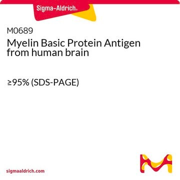 Myelin Basic Protein Antigen from human brain &#8805;95% (SDS-PAGE)