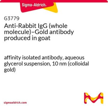 抗ウサギIgG (全分子)–金 ヤギ宿主抗体 affinity isolated antibody, aqueous glycerol suspension, 10&#160;nm (colloidal gold)