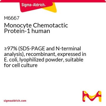 Monocyte Chemotactic Protein-1 human &#8805;97% (SDS-PAGE and N-terminal analysis), recombinant, expressed in E. coli, lyophilized powder, suitable for cell culture