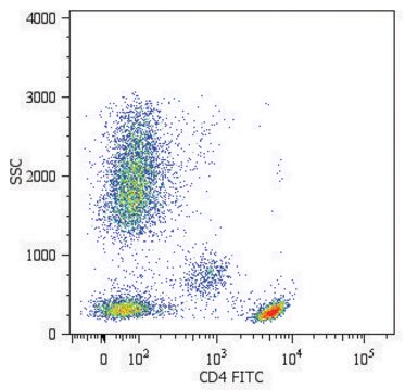 Monoclonal Anti-CD4-FITC , (N-terminal) antibody produced in mouse clone MEM-241, purified immunoglobulin, buffered aqueous solution