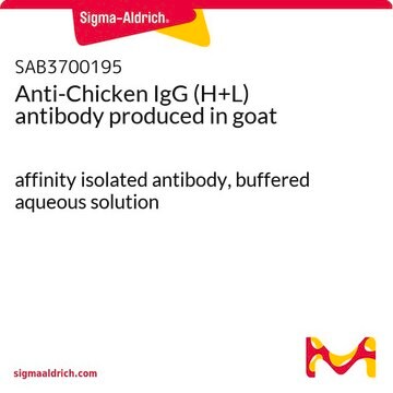 Anti-Chicken IgG (H+L) antibody produced in goat affinity isolated antibody, buffered aqueous solution