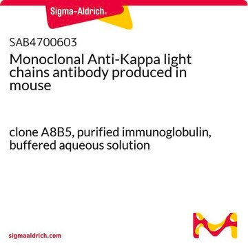 Monoclonal Anti-Kappa light chains antibody produced in mouse clone A8B5, purified immunoglobulin, buffered aqueous solution