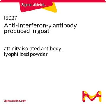 Anti-Interferon-&#947; antibody produced in goat affinity isolated antibody, lyophilized powder