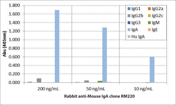 Anti-Mouse IgA-Biotin antibody, Rabbit monoclonal recombinant, expressed in HEK 293 cells, clone RM220, purified immunoglobulin