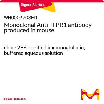 Monoclonal Anti-ITPR1 antibody produced in mouse clone 2B6, purified immunoglobulin, buffered aqueous solution