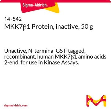 MKK7&#946;1 Protein, inactive, 50 g Unactive, N-terminal GST-tagged, recombinant, human MKK7&#946;1 amino acids 2-end, for use in Kinase Assays.