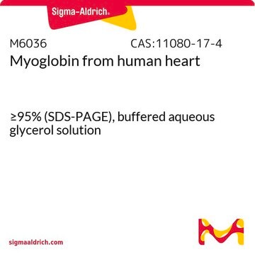 ミオグロビン ヒト心臓由来 &#8805;95% (SDS-PAGE), buffered aqueous glycerol solution