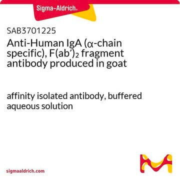 Anti-Human IgA (&#945;-chain specific), F(ab&#8242;)2 fragment antibody produced in goat affinity isolated antibody, buffered aqueous solution