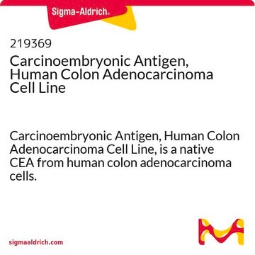 Carcinoembryonic Antigen, Human Colon Adenocarcinoma Cell Line Carcinoembryonic Antigen, Human Colon Adenocarcinoma Cell Line, is a native CEA from human colon adenocarcinoma cells.