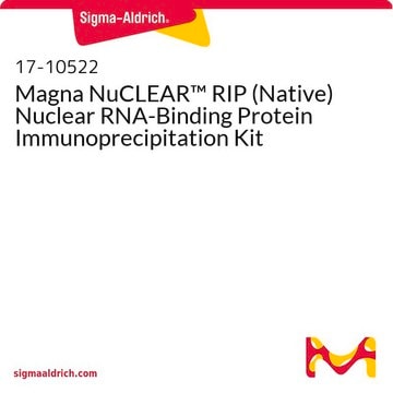 Magna NuCLEAR&#8482; RIP (Native) Nuclear RNA-Binding Protein Immunoprecipitation Kit