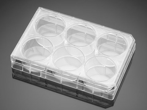 Corning&#174; Falcon&#174; Cell Culture Plate wells, 6, Tissue Culture (TC)-treated surface, flat bottom clear wells, sterile