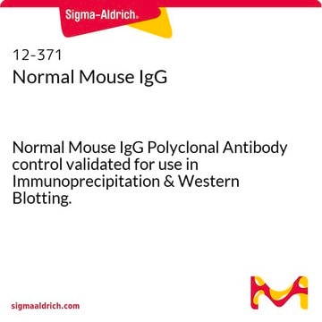 Normal Mouse IgG Normal Mouse IgG Polyclonal Antibody control validated for use in Immunoprecipitation &amp; Western Blotting.