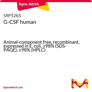 G-CSF human Animal-component free, recombinant, expressed in E. coli, &#8805;98% (SDS-PAGE), &#8805;98% (HPLC)