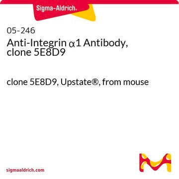 Anti-Integrin &#945;1 Antibody, clone 5E8D9 clone 5E8D9, Upstate&#174;, from mouse