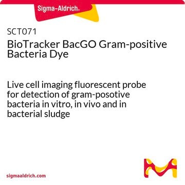 BioTracker BacGO Gram-positive Bacteria Dye Live cell imaging fluorescent probe for detection of gram-posotive bacteria in vitro, in vivo and in bacterial sludge