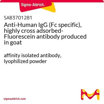 Anti-Human IgG (Fc specific), highly cross adsorbed-Fluorescein antibody produced in goat affinity isolated antibody, lyophilized powder