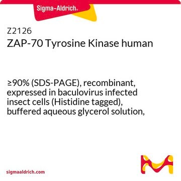 ZAP-70 Tyrosine Kinase human &#8805;90% (SDS-PAGE), recombinant, expressed in baculovirus infected insect cells (Histidine tagged), buffered aqueous glycerol solution, &#8805;150&#160;U/mg