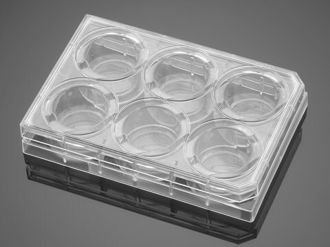 Corning&#174; BioCoat&#8482; Collagen IV Multiwell Plate well size 6&#160;wells, flat bottom clear wells, lid