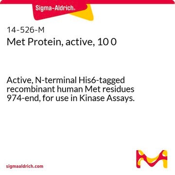 Met Protein, active, 10 0 Active, N-terminal His6-tagged recombinant human Met residues 974-end, for use in Kinase Assays.