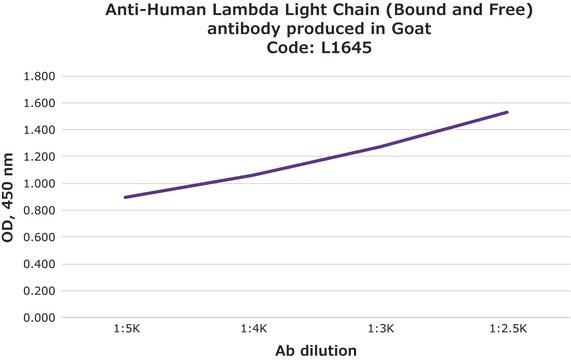 Anti-Human Lambda Light Chain (Bound and Free) antibody produced in goat affinity isolated antibody, buffered aqueous solution