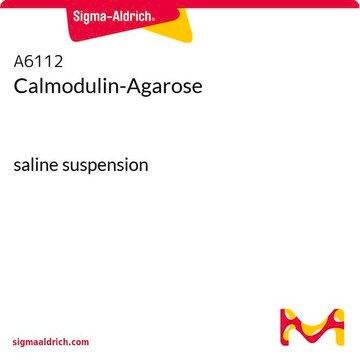 Calmodulin-Agarose saline suspension