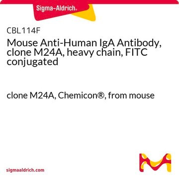 Mouse Anti-Human IgA Antibody, clone M24A, heavy chain, FITC conjugated clone M24A, Chemicon&#174;, from mouse