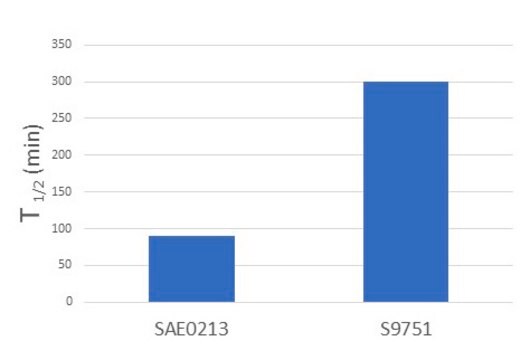 Arylsulfatase, Enhanced, Recombinant From P. aeruginosa for Steroid Sulfate Hydrolysis