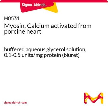 Myosin, Calcium activated from porcine heart buffered aqueous glycerol solution, 0.1-0.5&#160;units/mg protein (biuret)